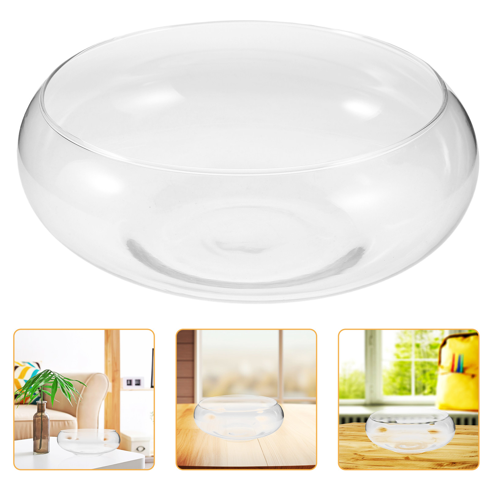 Planted Tank - Glass Hydroponic Planter Bowl for Succulents