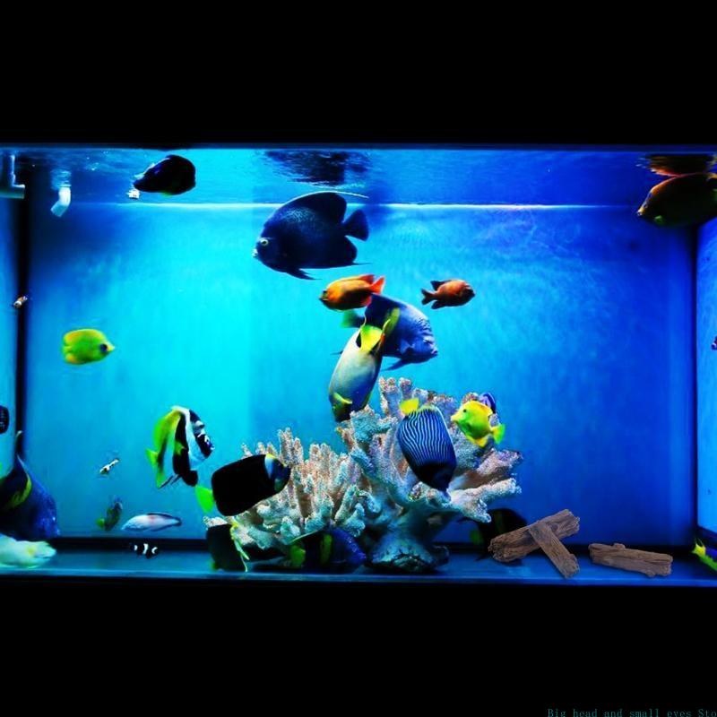 Aquarium Decoration Tree Trunk - Aquarium Plant Substrate ulasan dan harga