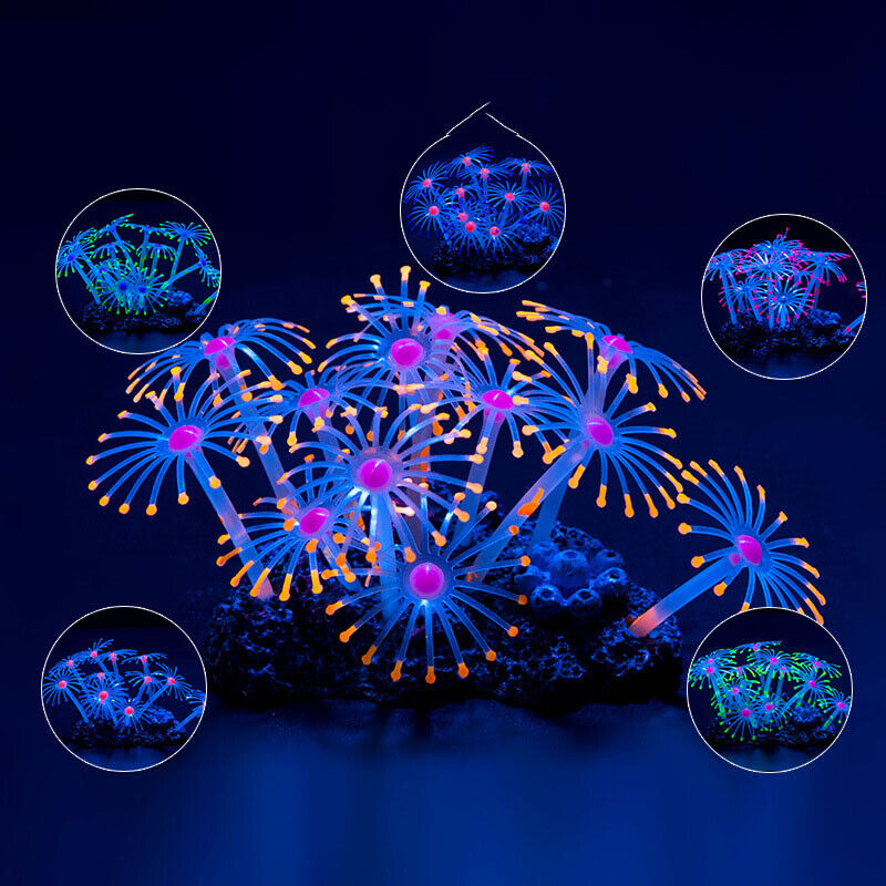 Silicone Glowing Landscape Art - Aquarium Plants Live ulasan dan harga