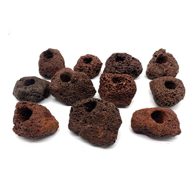 Volcanic Aquarium Decoration F - Live Plant Aquarium ulasan dan harga