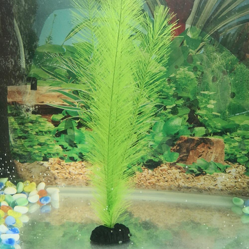 1/3Pcs 28/40cm Aquarium Fish T - Aquarium Plants Live ulasan dan harga