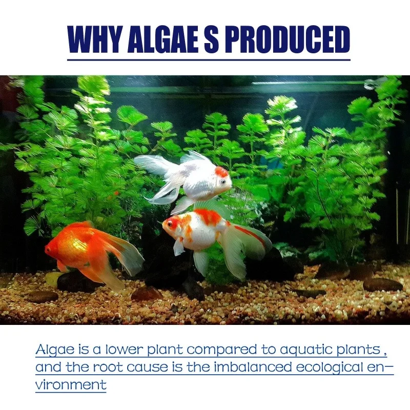 50g High Efficiency Algaecide  - Aquarium Liquid Carbon ulasan dan harga