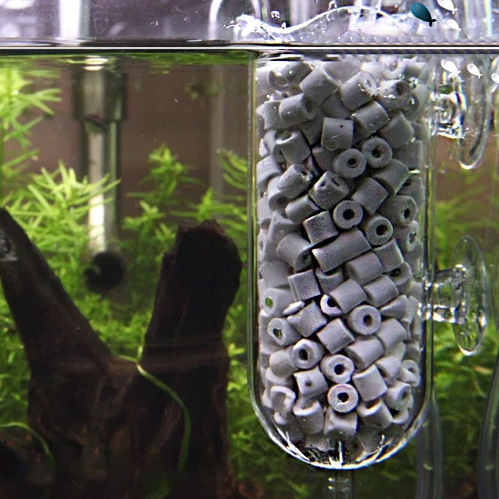 Fish Tank Oxygen Diffuser Spla - Aquarium Planted Tank Filter ulasan dan harga