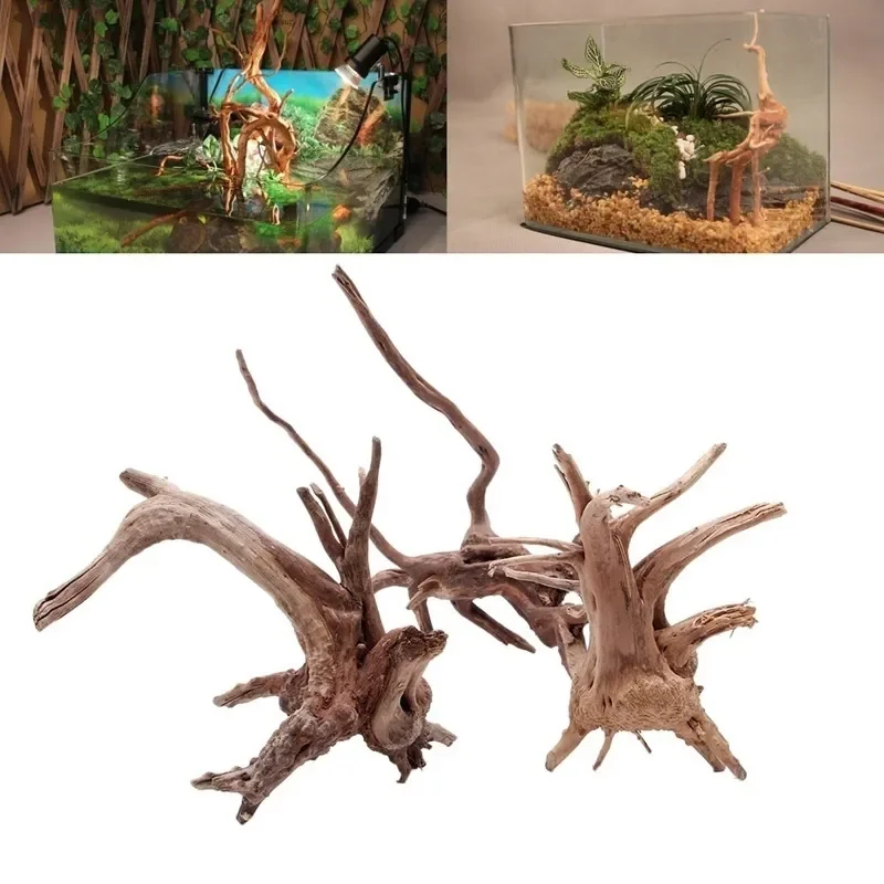 Natural Tree Trunk Driftwood A - Aquarium Plant Substrate ulasan dan harga