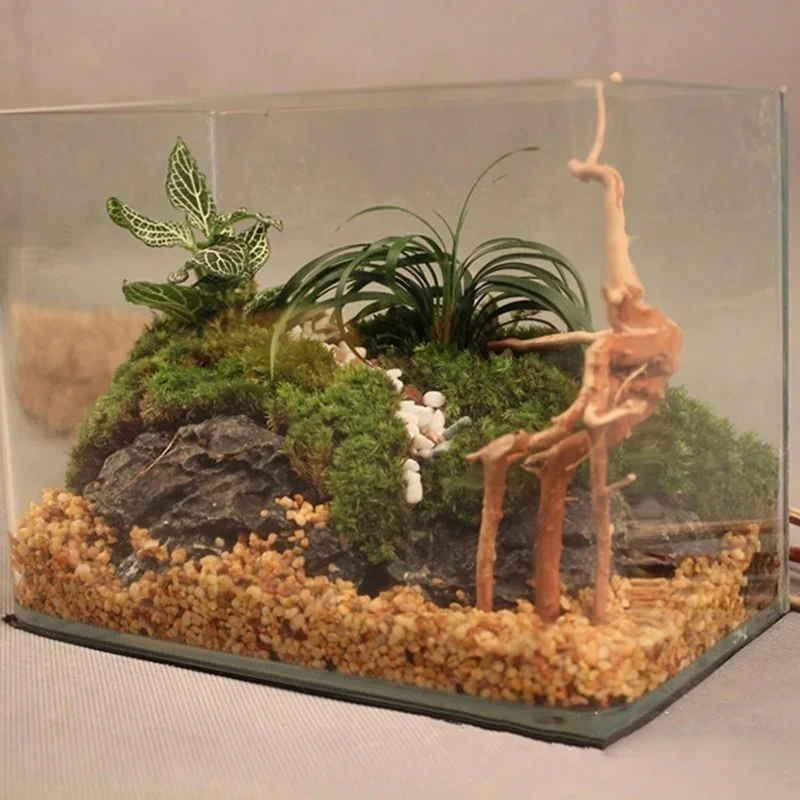 Natural Tree Trunk Driftwood A - Aquarium Plant Substrate ulasan dan harga