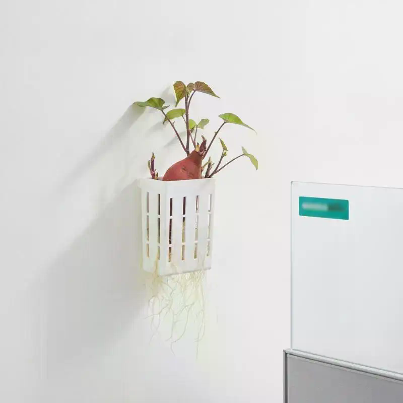 1Pcs Hydroponic Support Basket - Planted Tank ulasan dan harga