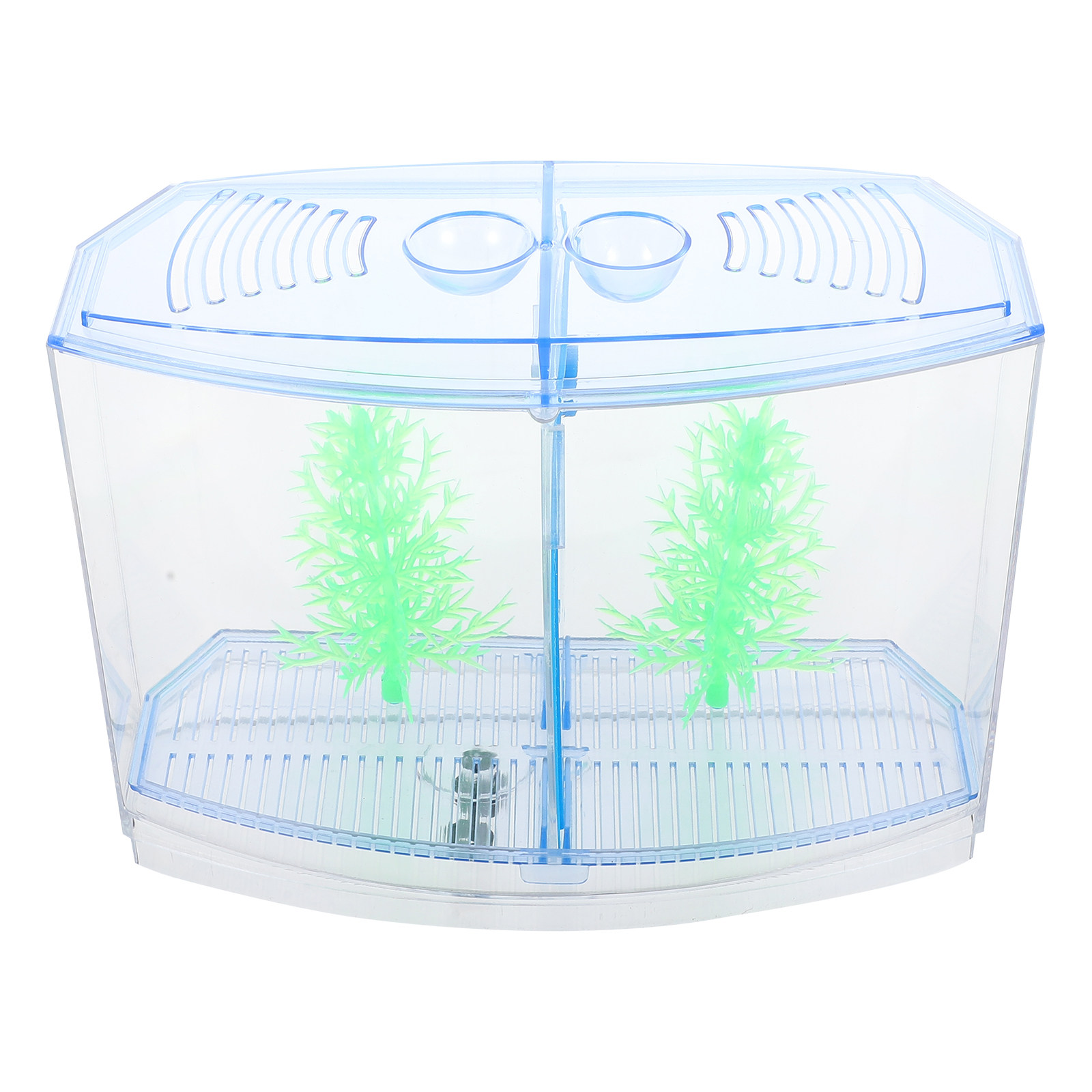 1Set Clear Compact Acrylic Fis - Aquarium Plants Live ulasan dan harga