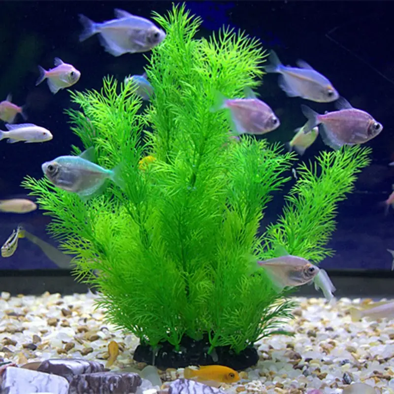 Artificial Aquarium Decor Plan - Aquarium Plant Substrate ulasan dan harga