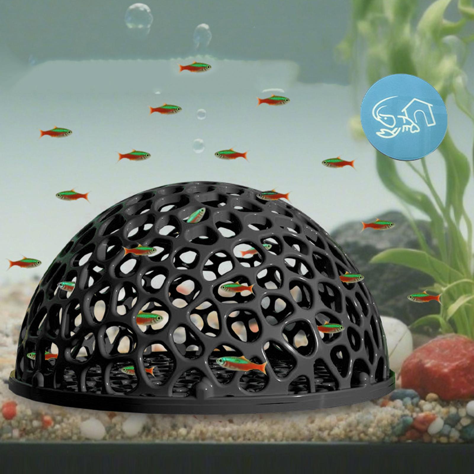 Aquarium Hiden Cave Shelter fo - Aquarium Plants Live ulasan dan harga