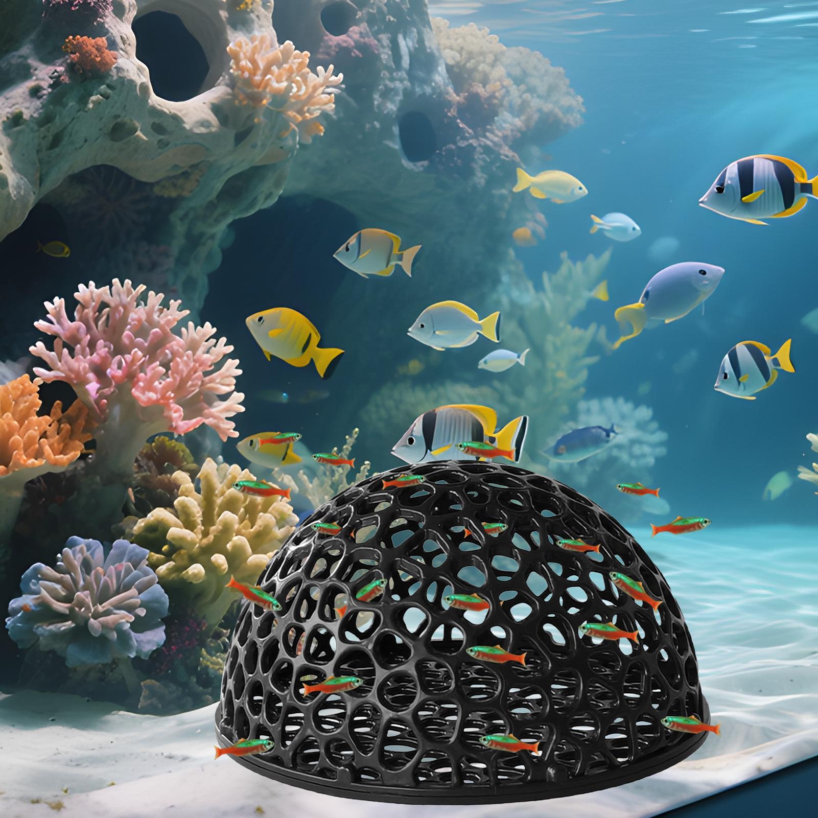 Aquarium Hiden Cave Shelter fo - Aquarium Plants Live ulasan dan harga