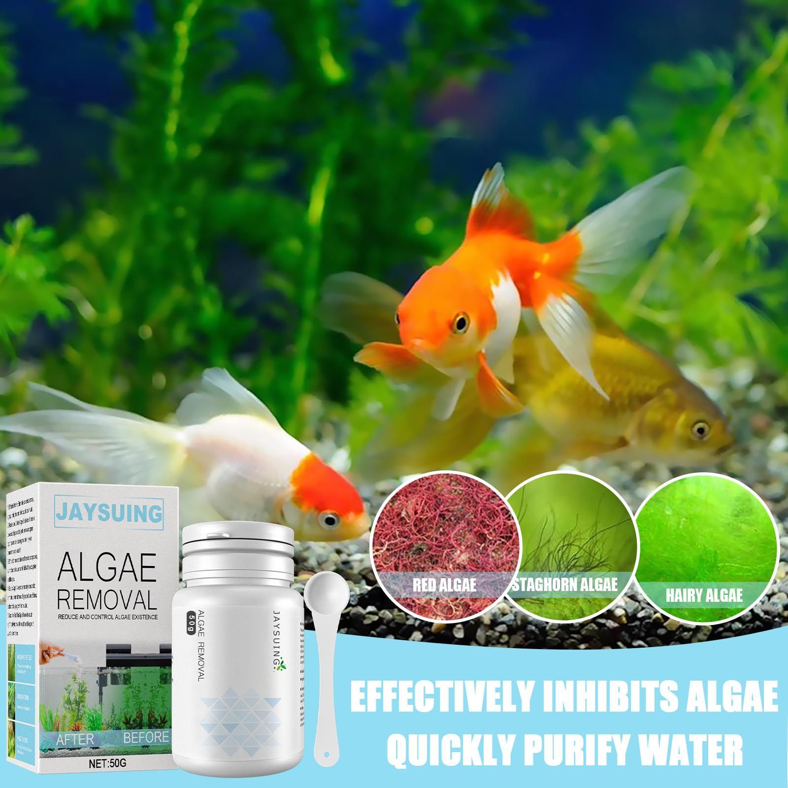 Aquarium Algae Remover Powder, - Aquarium Moss ulasan dan harga