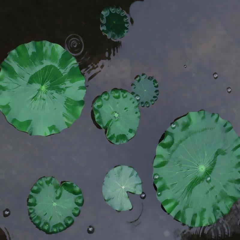 2026 Artificial Water Lily Lot - Aquarium Moss ulasan dan harga