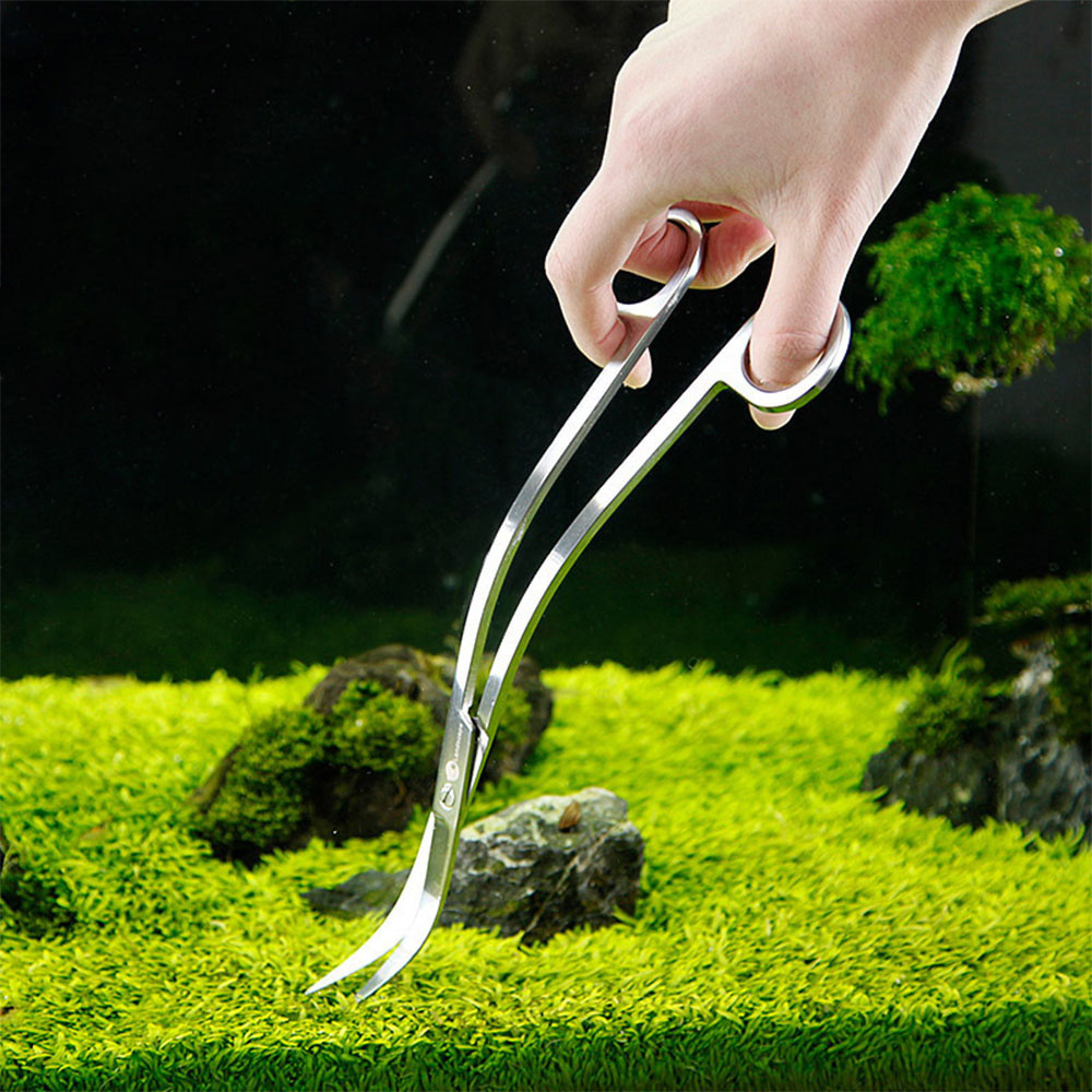 Aquarium Accessories Hard Stai - Planted Aquarium Cleaning ulasan dan harga