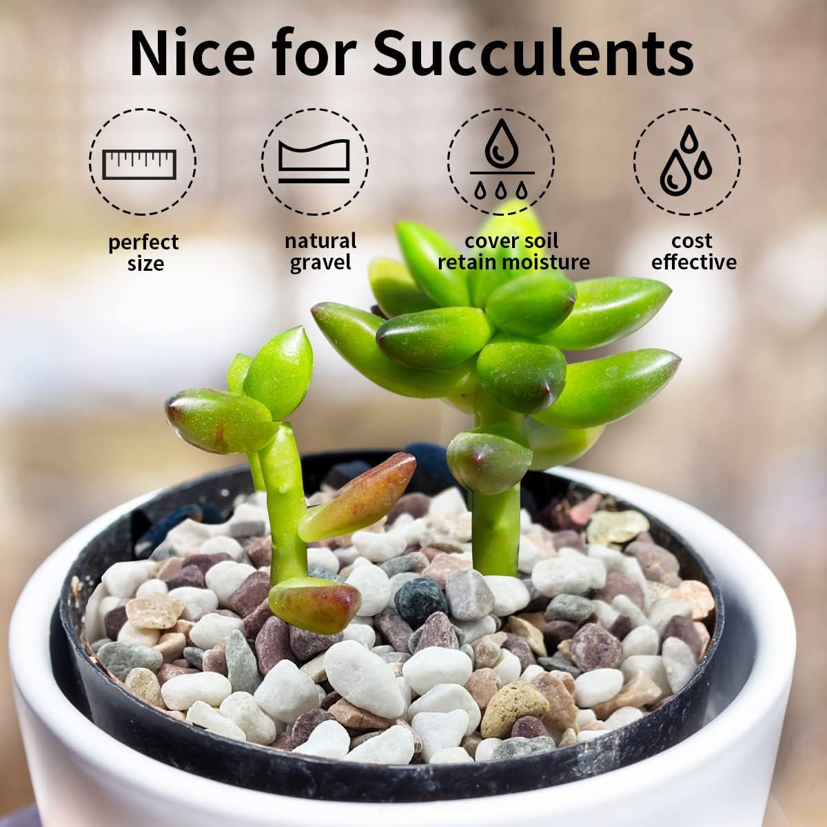 Mixed Color Gravel Stones Deco - Plant Aquarium Pot ulasan dan harga