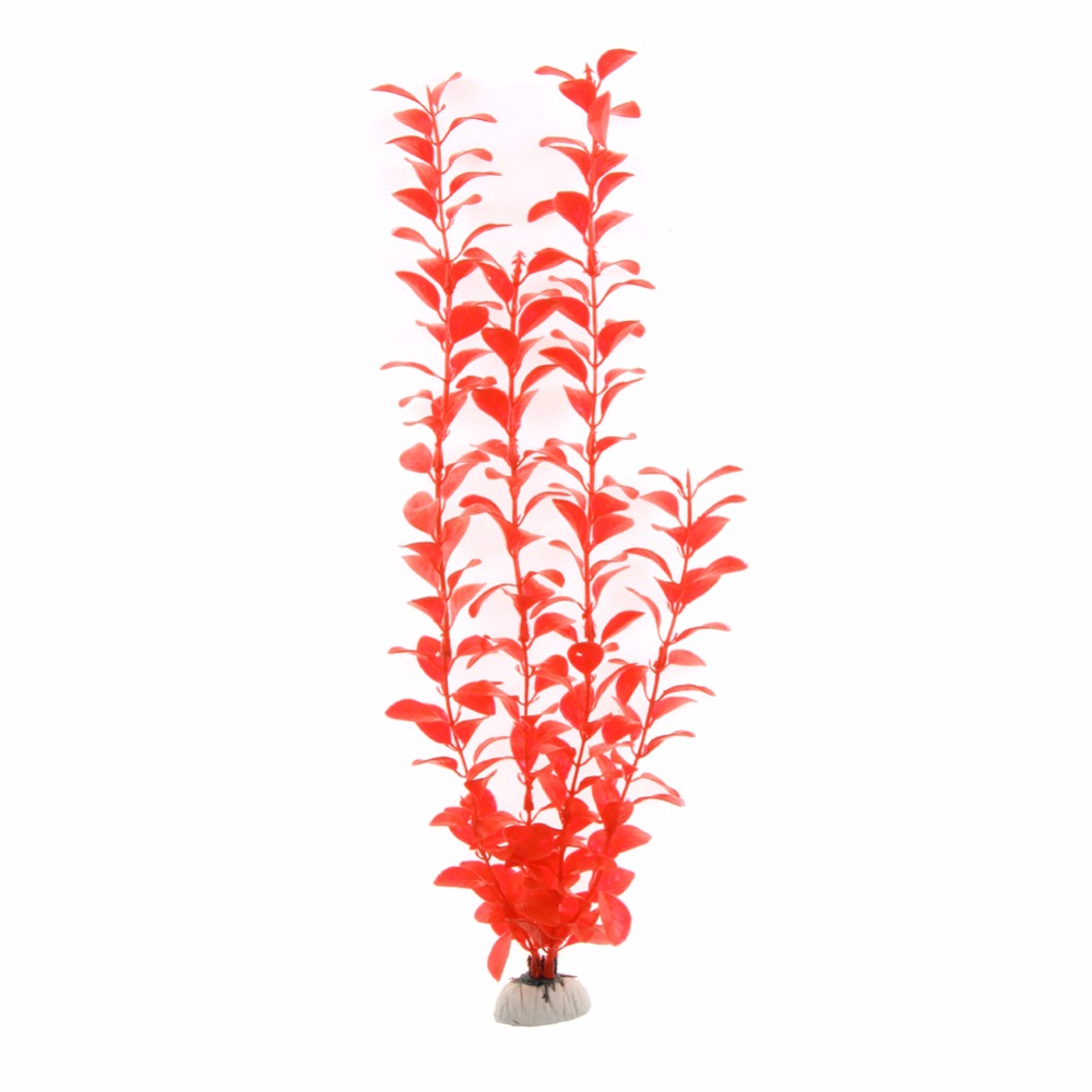 Ornament Aquarium Accessories  - Live Plant Aquarium ulasan dan harga
