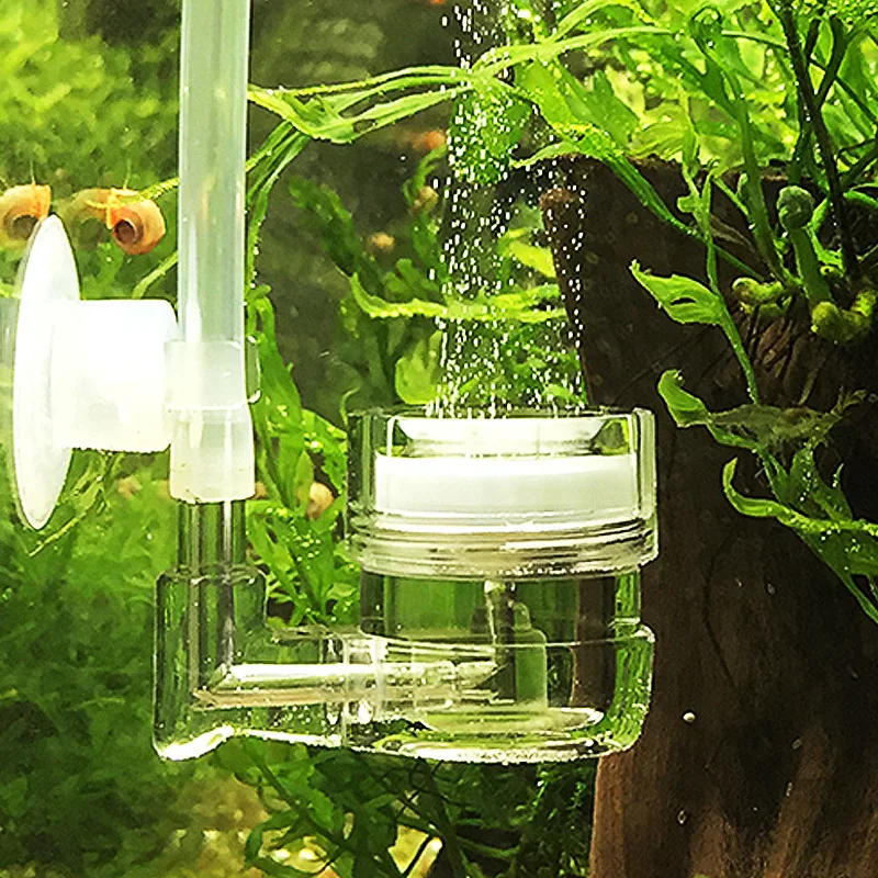 Aquarium 4 in 1 CO2 Diffuser G - Live Plant Aquarium ulasan dan harga