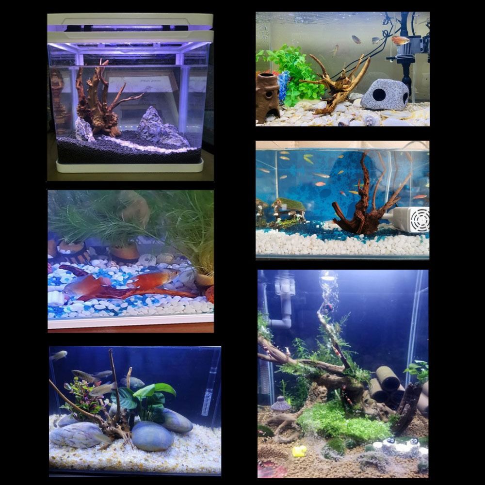 20-25CM Large Aquarium Driftwo - Aquarium Driftwood ulasan dan harga