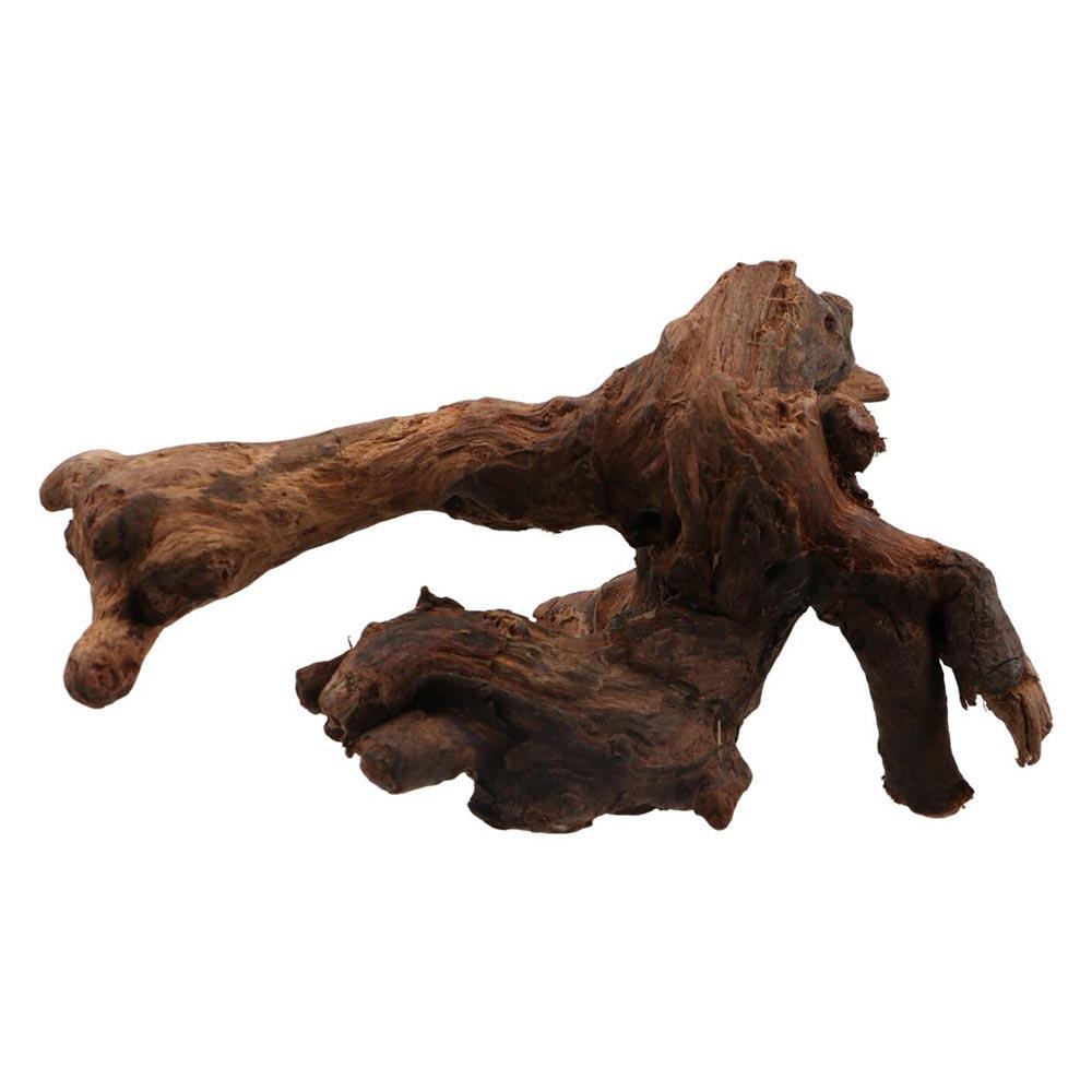 Creative Irregular Shape Coral - Aquarium Plant Substrate ulasan dan harga