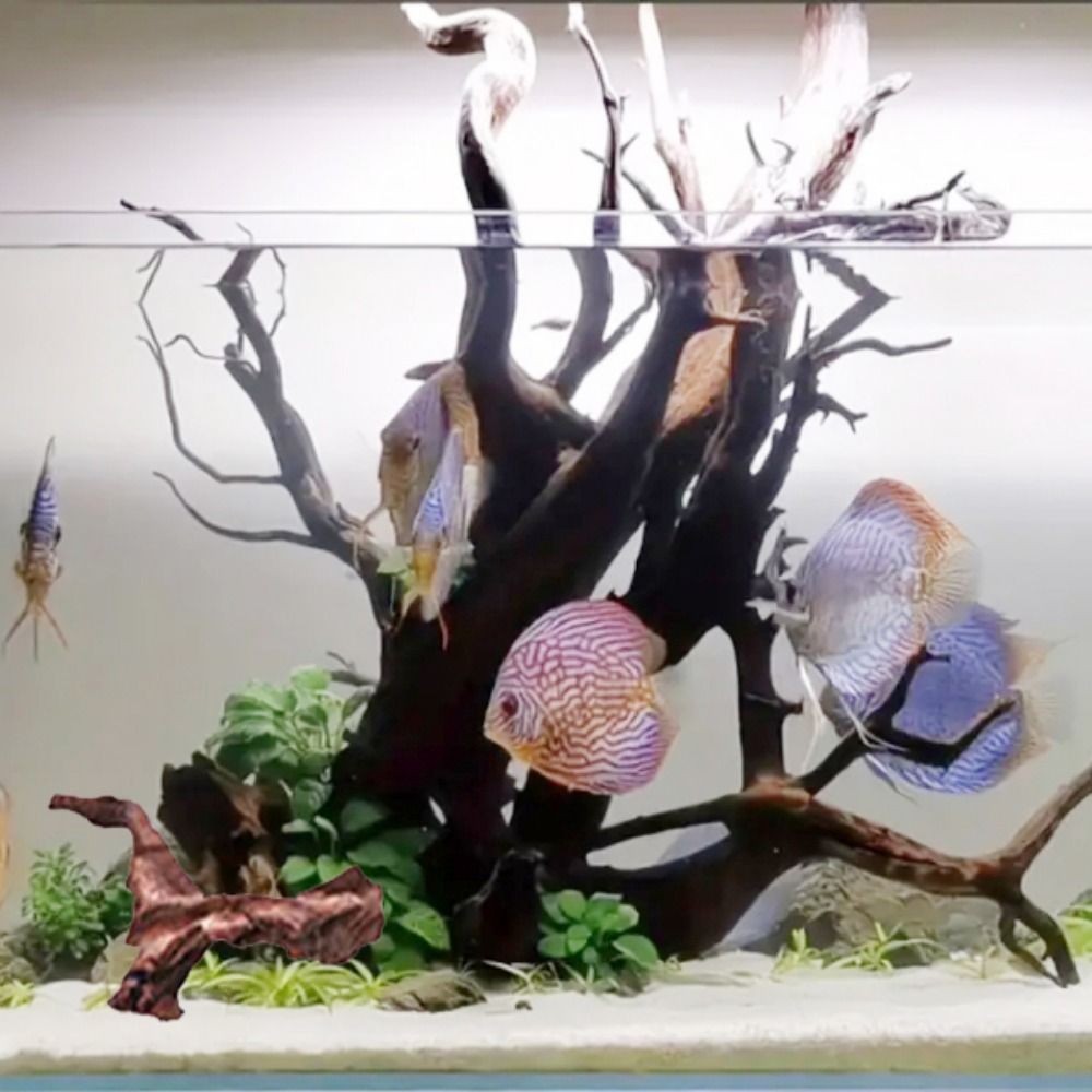 Creative Irregular Shape Coral - Aquarium Plant Substrate ulasan dan harga