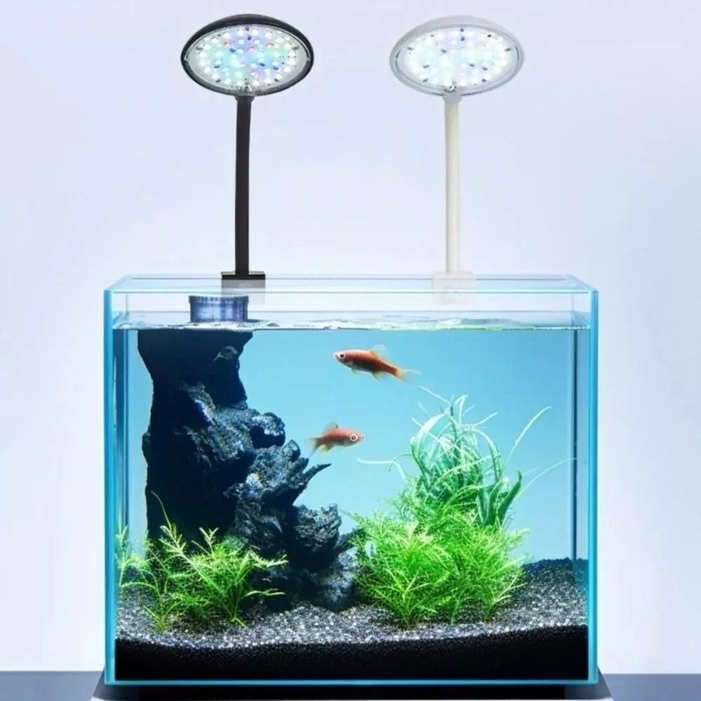 New Mini Fish Tank Clip Lamp 5 - Live Plant Aquarium ulasan dan harga