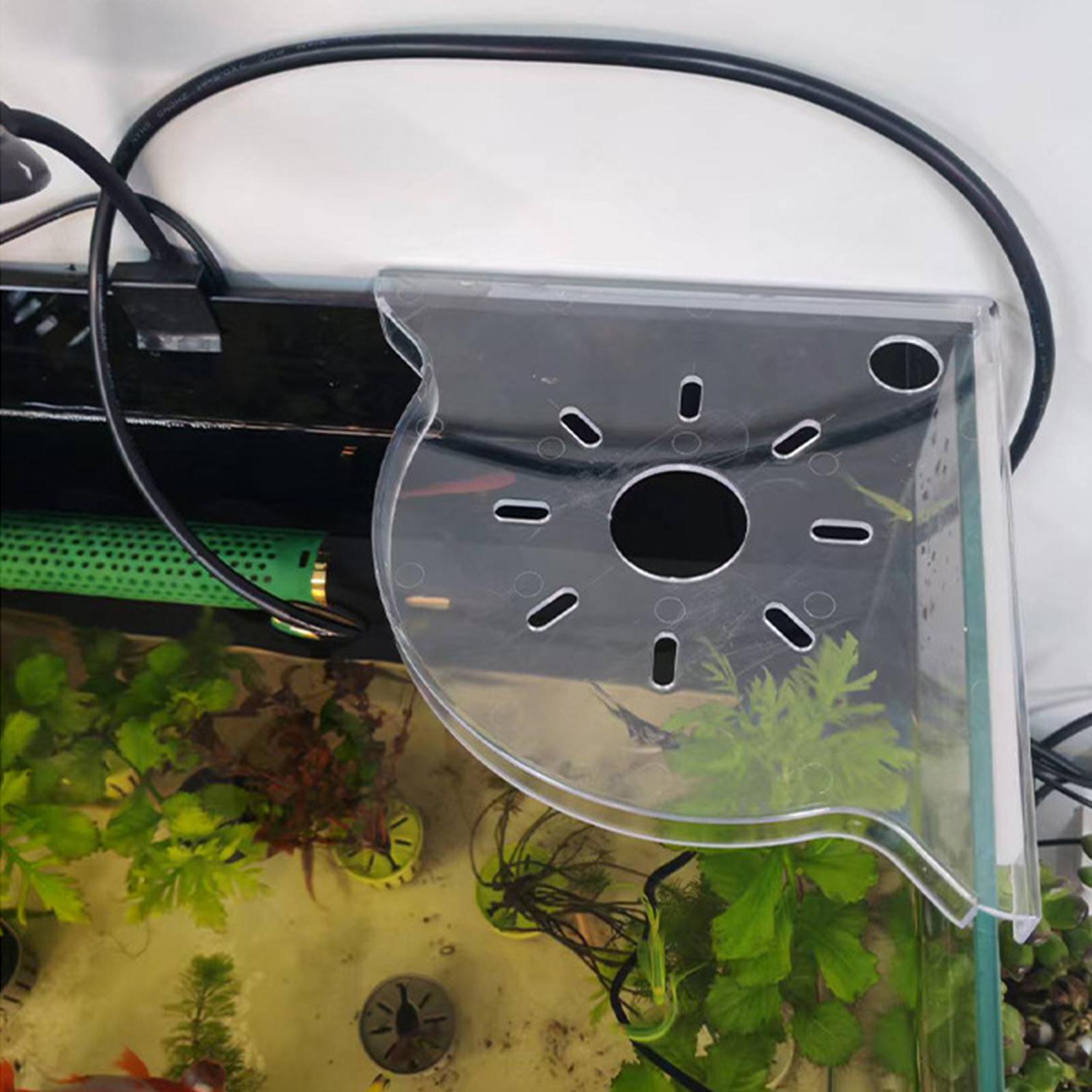 Triangle Fish Tank Corner Stor - Aquarium Plants Live ulasan dan harga