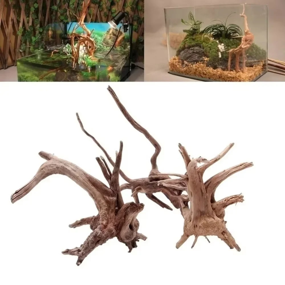15-20CM Natural Driftwood Aqua - Aquarium Plant Substrate ulasan dan harga