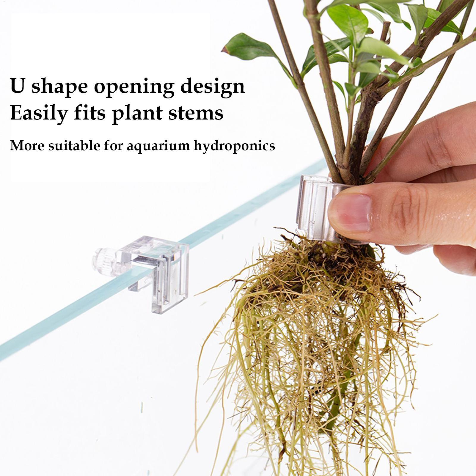 Mini Fish Tank Planter Pot 6Pc - Aquarium Fertilizer ulasan dan harga