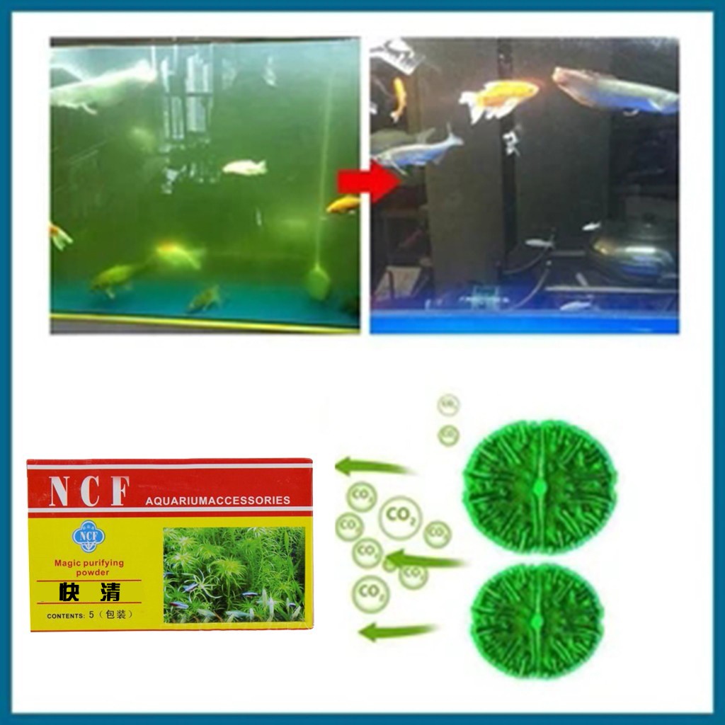 Aquarium Water Purifying Powde - Aquarium Moss ulasan dan harga