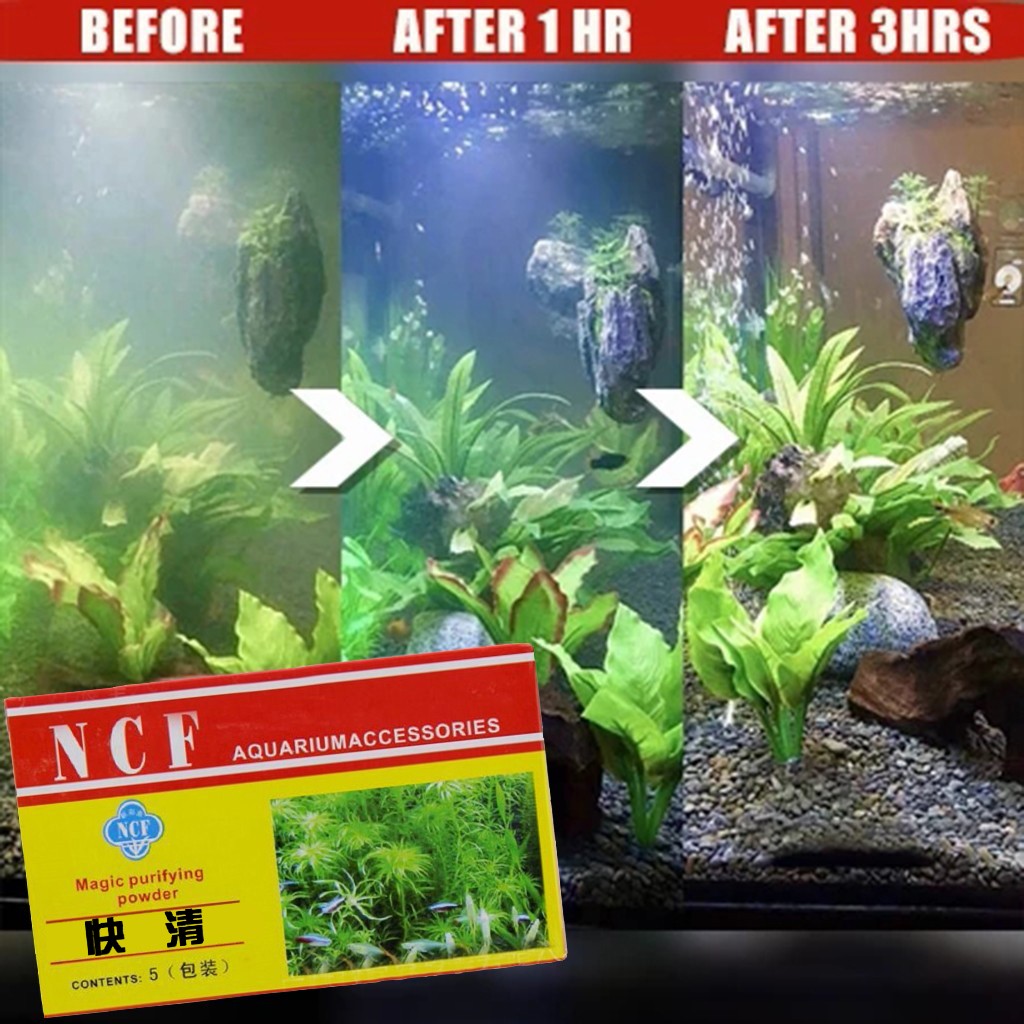 Aquarium Water Purifying Powde - Aquarium Moss ulasan dan harga
