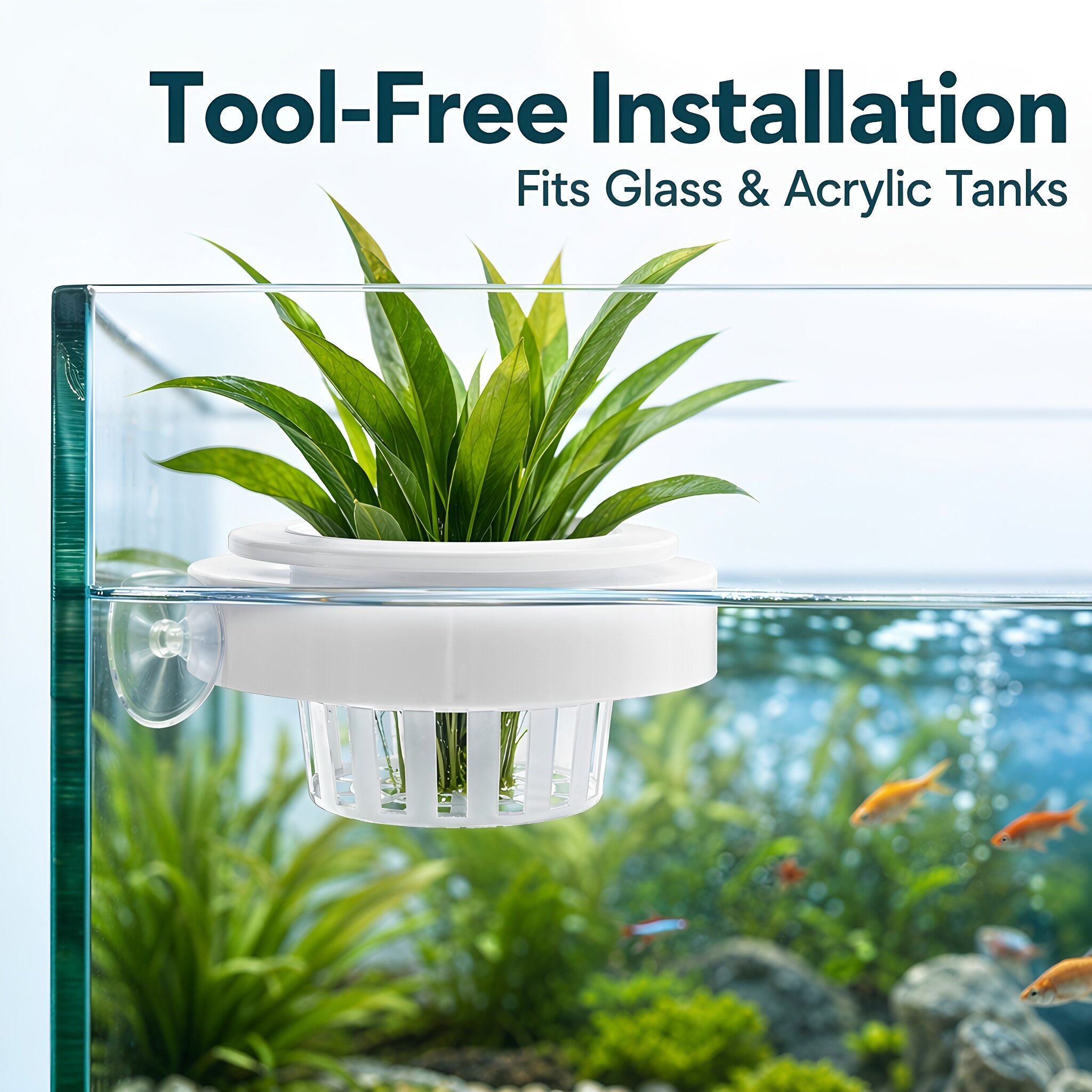 4pcs Floating Aquarium Plant B - Planted Tank ulasan dan harga