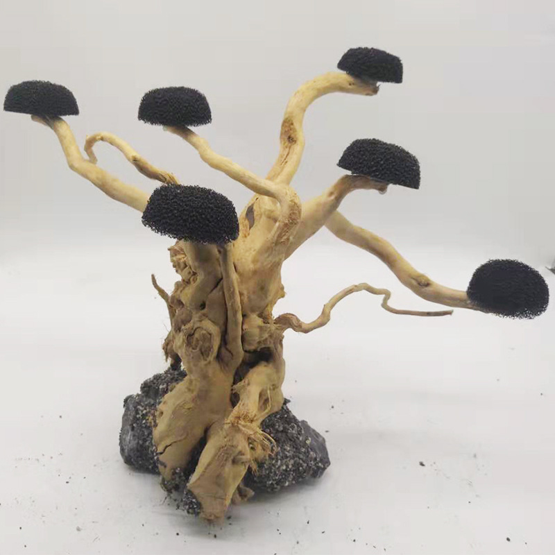 Aquarium Driftwood Landscaping - Aquarium Plant Substrate ulasan dan harga