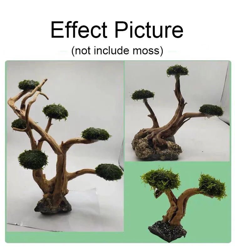 Aquarium Driftwood Landscaping - Aquarium Plant Substrate ulasan dan harga