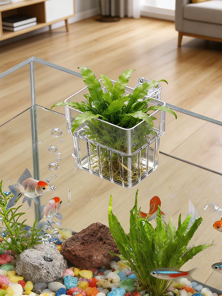 Aquarium Plant Holder Transpar - Plant Aquarium Pot ulasan dan harga