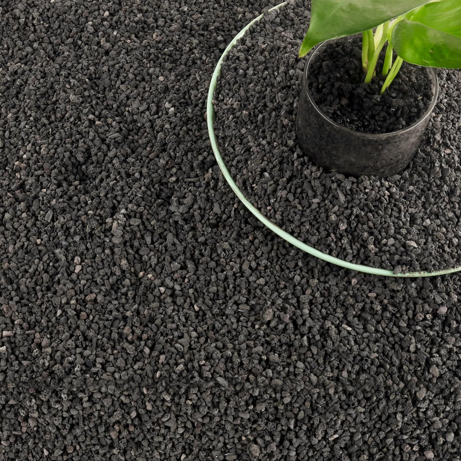 3lb Black Aquarium Filter Medi - Plant Aquarium Pot ulasan dan harga