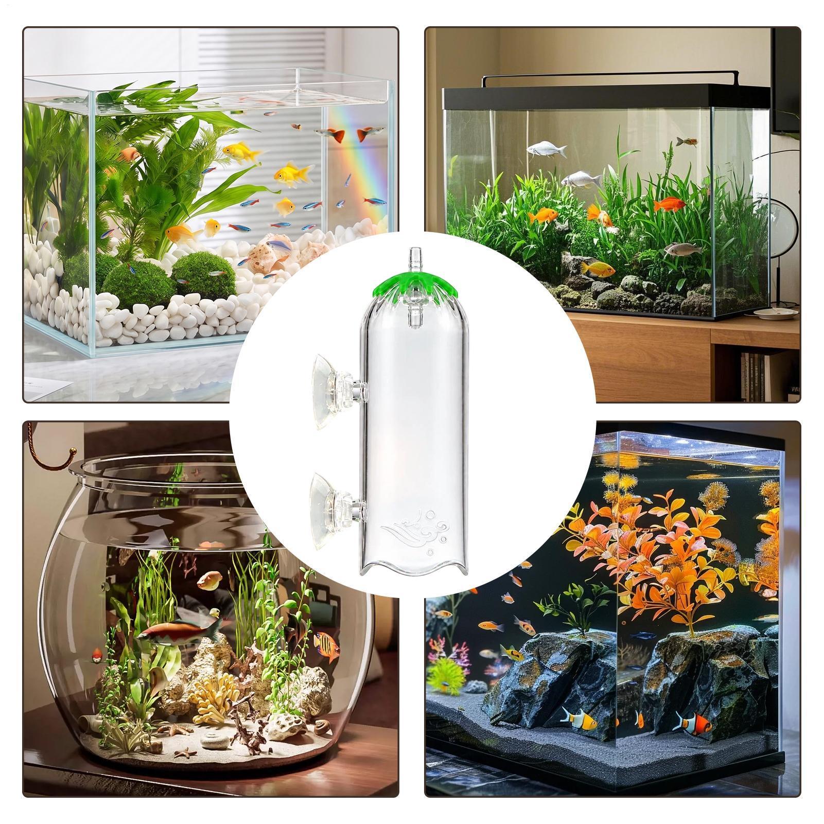 Fish Tank Air Pump Diffuser Sp - Aquarium Planted Tank Filter ulasan dan harga