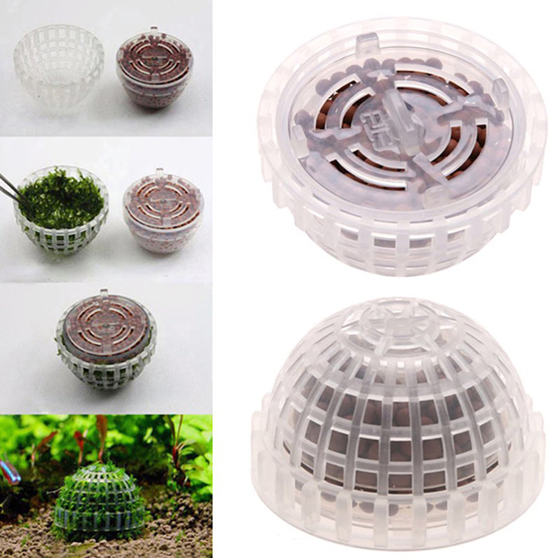 【B】Aquatic Pet Supplies Decora - Live Plant Aquarium ulasan dan harga