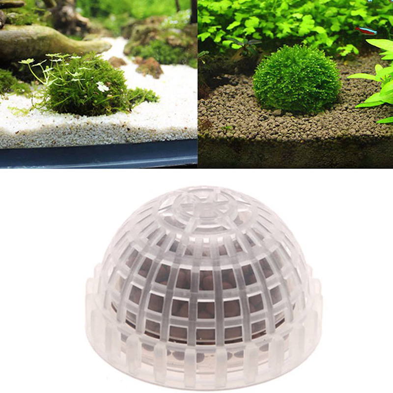【B】Aquatic Pet Supplies Decora - Live Plant Aquarium ulasan dan harga